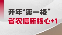 中标开门红！betway西汉姆官网科技与省级农商团结银行共立异焦点农信样板